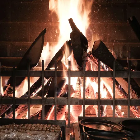 Paloma Perissia Feriested