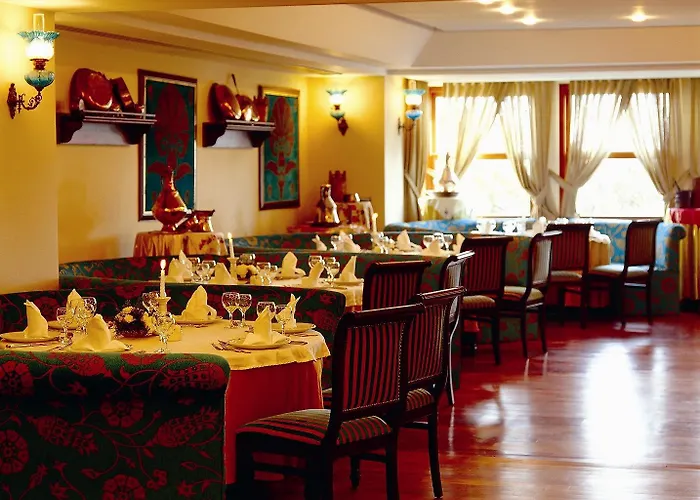 Paloma Perissia سيدي