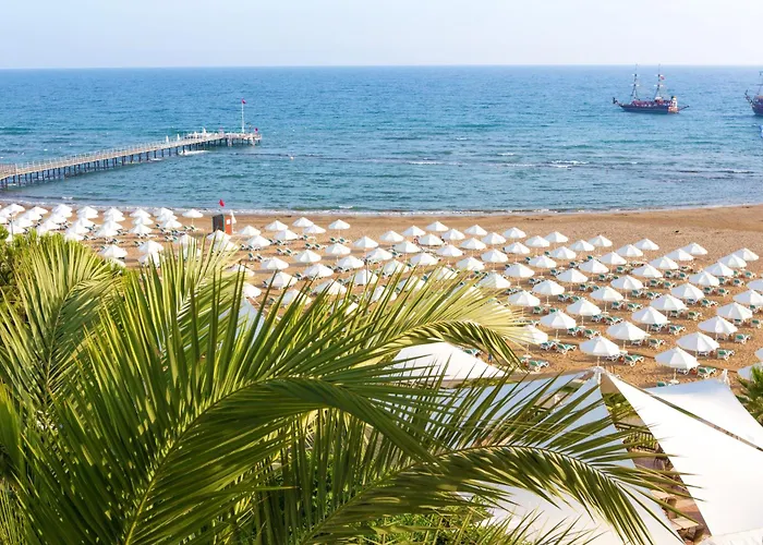 Paloma Perissia Σιντέ